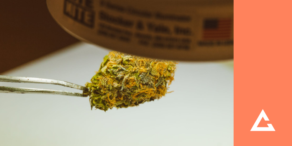 California Proposes Revised Regulations To Combat Inflated THC Numbers and Reporting featured image