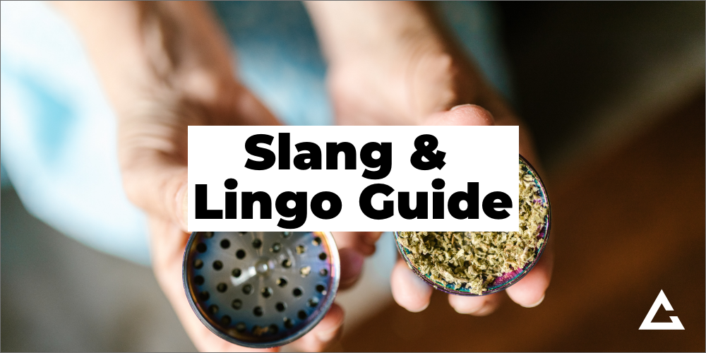Slang & Lingo Guide featured image